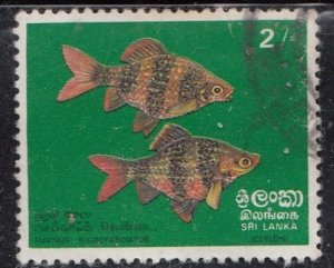 Sri Lanka #476   Used