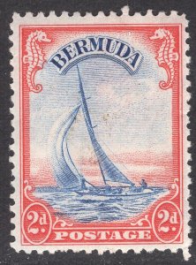 BERMUDA SCOTT 109A