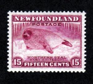 Newfoundland # 195 Mint!