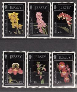 Jersey 1999 Orchids -  NHM