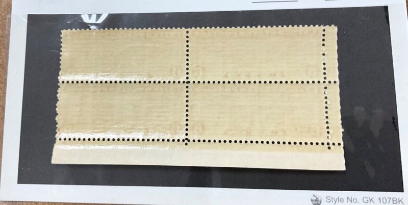 C19  NH VF  Plate Block