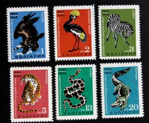 Bulgaria #1689-1694 MNG Vulture, Crane, Zebra, Cheetah, Python, Crocodile