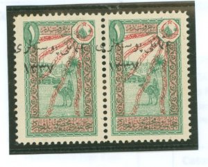 Turkey in Asia #58/58v Unused Multiple