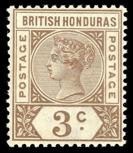 British Honduras 1891 QV 3c brown MLH copy with WATERMARK INVERTED. SG 53w