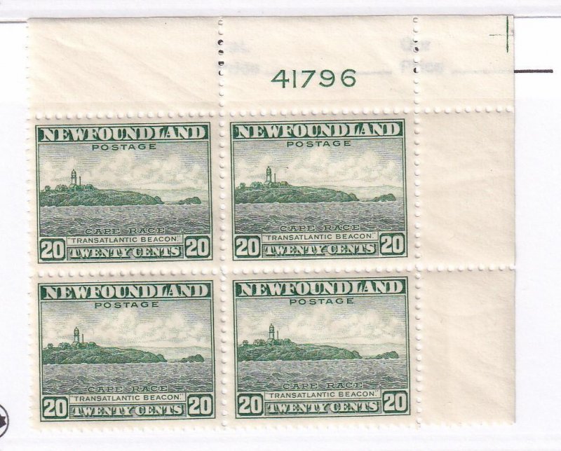 NEWFOUNDLAND PLATE BLOCKS OF 4 PLUS BLOCKS OF 4 CAT VALUE ????? 