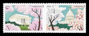 PCBstamps  US #4982/4983a Pair 98c(2x{49c})Friendship, MNH, (16)