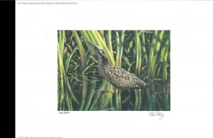 NEW ZEALAND 2013 DUCK STAMP PRINT  Australasian Bittern by J. Marshall Reg $195