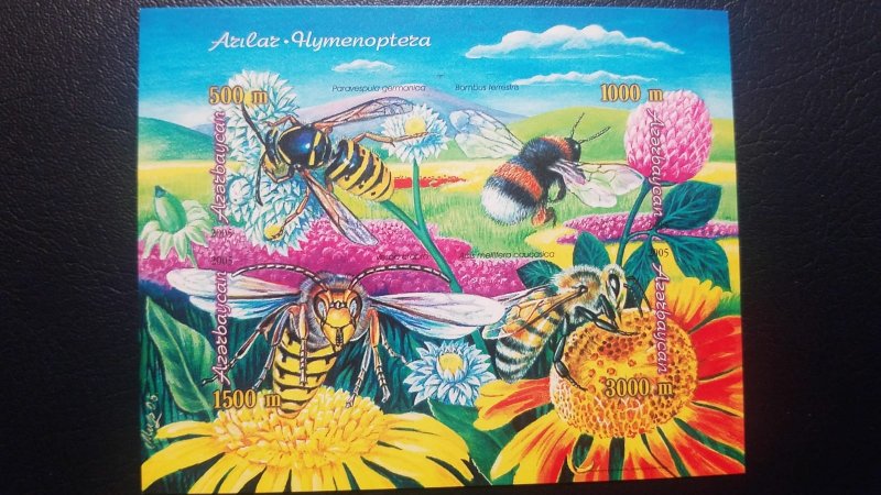 O) 2005 AZERBAIJAN, PROOF, BEES - PARAVESPOLA GERMANICA - BOMBUS TERRESTRIS -VES