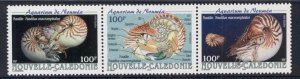 New Caledonia 2001 Marine Life, Noumea Aquarium, Nautilus Shell str3 MUH