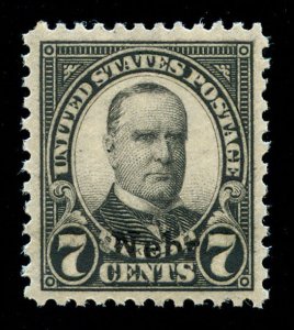 MOMEN: US STAMPS #676 MINT OG NH XF JUMBO