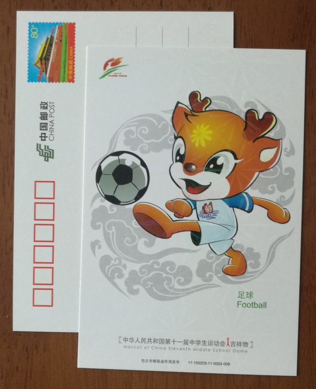 Soccer,football,CN 11 baotou mascot 11th national middle school sports game PSC