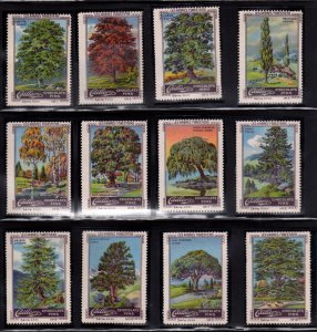 Cailler Chocolate Advertising Stamps- Forest Trees XXXII Complete Set in French