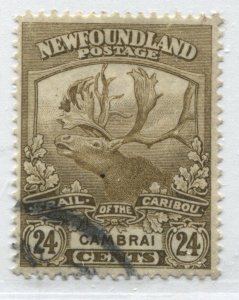 Newfoundland 1919 24 cents used