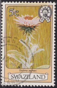 Swaziland 350 Dicoma Zeyher 1980