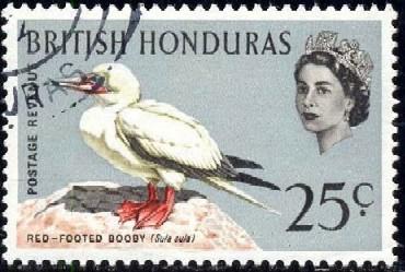 Bird, Red-footed Booby, British Honduras stamp SC#174 used