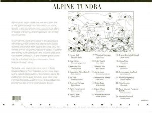 2006 Alpine Tundra 41c Sc 4198 mint pane of 10 Nature of America #9