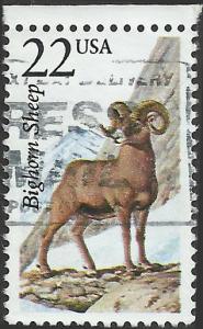 # 2288 USED BIGHORN SHEEP