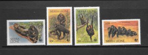 SIERRA LEONE #586-89 CHIMPANZEES  WWF   MNH