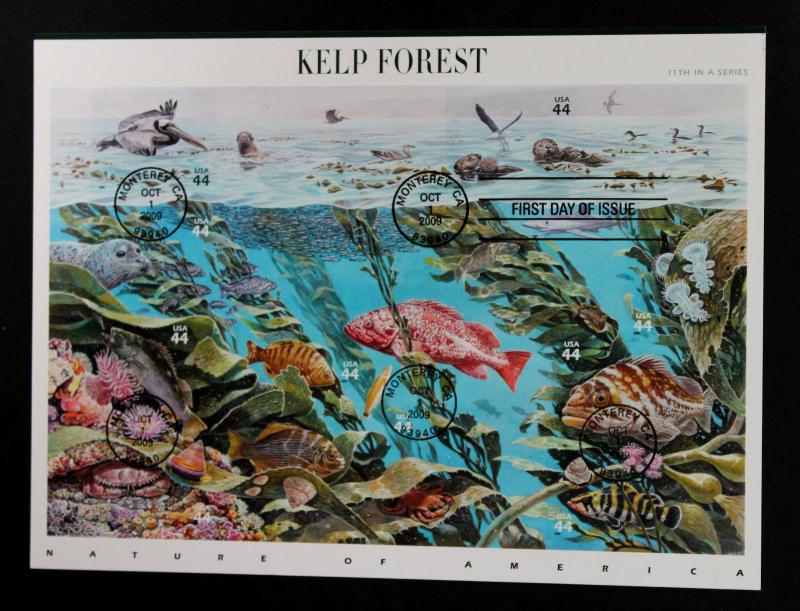 US Stamp Sheet #4423 (A3367)  First Day of -Issue Kelp Forest 2009 