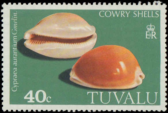 Tuvalu #129-132, Complete Set(4), 1980, Seashells, Never Hinged