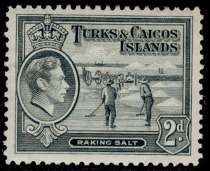 TURKS & CAICOS ISLANDS GVI SG198, 2d grey, M MINT. 