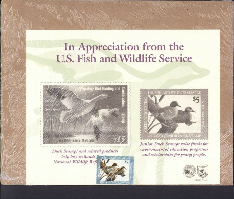 JDS11 2003-2004 Jr DUCK STAMP FISH & WILDLIFE GREEN-WINGED TEAL SEALED FOLIO