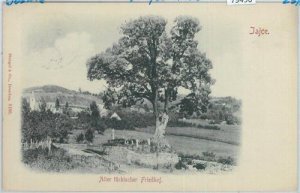 79490 - Bosnia and Herzegovina - VINTAGE POSTCARD - JAJCE 1900-