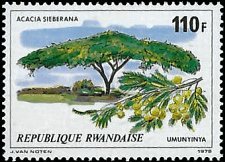 RWANDA   #922 MNH (1)