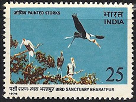 India. MNH. Painted Storks.  SC 713. SCV $1.75