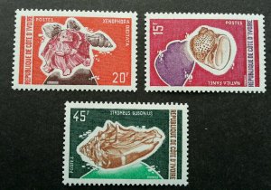 Côte d'Ivoire Shell 1966 Seashells Marine Life Ocean (stamp) MNH *recess effect