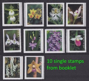 US 5445-5454 Wild Orchids F set 10 (from booklet) MNH 2020