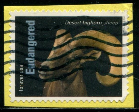 5799s US (63c) Endangered Species - Desert Bighorn Sheep SA, used on