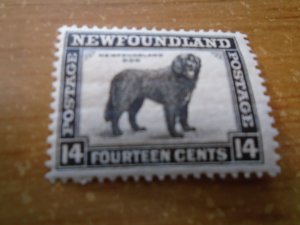 Newfoundland  # 261  MNH
