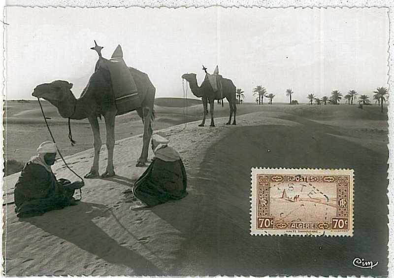 38756  - Algeria - POSTAL HISTORY -  MAXIMUM CARD    1939 : CAMELS & PALM TREES