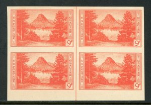 USA 1934 Glacier National Park 9¢ Margin Block Scott 764 Mint Y579