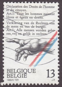 Belgium 1316 Rights of Man 1989