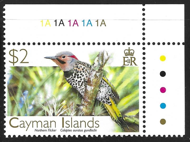 Cayman Islands #979 $2 Birds - Northern Flicker MNH