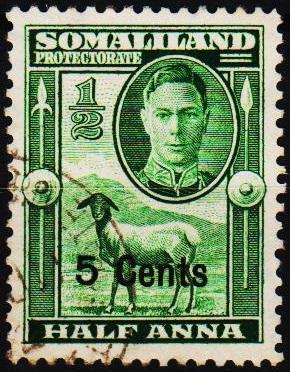 Somaliland Protectorate.1951 5c on 1/2a  S.G.125 Fine Used