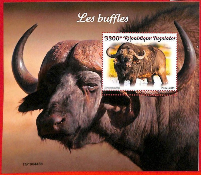 A3285 - TOGO, ERROR MISPERF, Souvenir sheet: 2019, Buffalos, Fauna