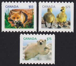 BABY * BEAR, GOOSE, FOX = SET of 3 DIE CUT COIL = Canada 2011 #2427ii-2429ii MNH