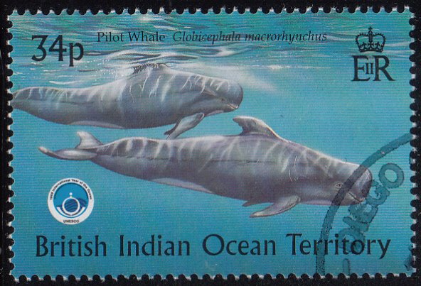 BIOT 1998 used Sc #205 34p Pilot whale Int'l Year of the Ocean