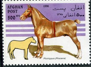 Afghanistan 1996 HORSE 1 value Perforated Mint (NH)