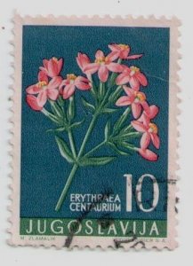 1957 Yugoslavia #469 stamp European Glabrous Centaurium minus Flowers Flora USED