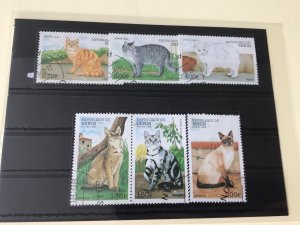 Republic De Benin Cats  used stamps Ref 55064