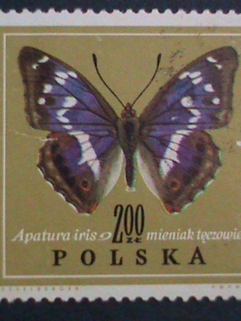 POLAND STAMP- COLORFUL BEAUTIFUL LOVELY BUTTERFLY LARGE CTO STAMPS-VERY FINE