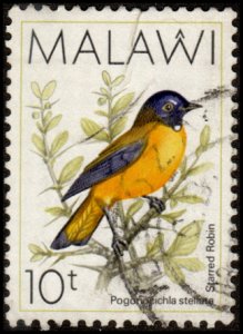 Malawi 523 - Used - 10t White-starred Robin (1988) (cv $1.25)