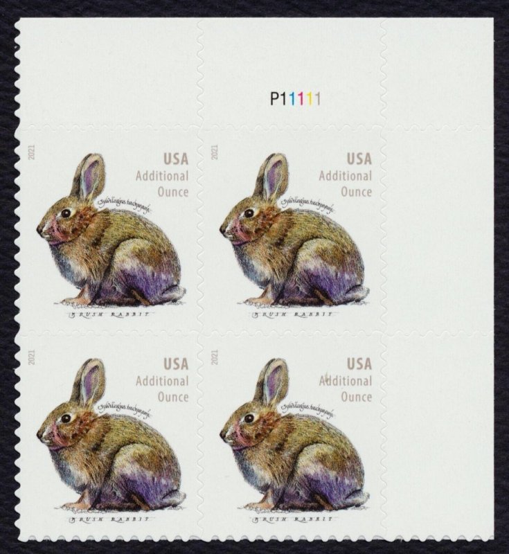 #5544 Brush Rabbit, Plate Block [P11111 UR] Mint **ANY 5=FREE SHIPPING**