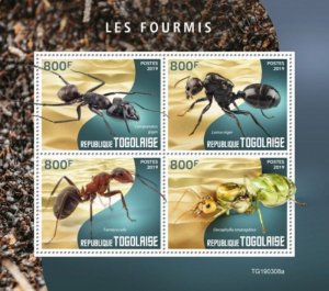 Togo - 2019 Ants on Stamps - 4 Stamp Sheet - TG190308a