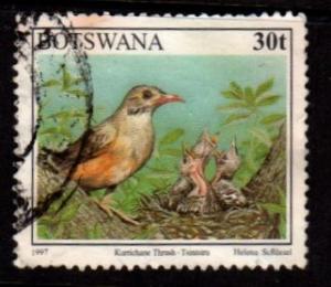 Botswana - #625 Kurrichane Thrush - Used