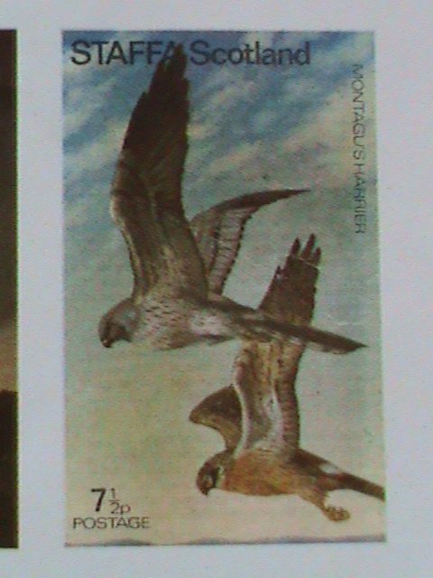 ​STAFFA SCOTLAND STAMP:RARE BIRDS IMPERF- MNH - MINI SHEET NO GUM AS ISSUED